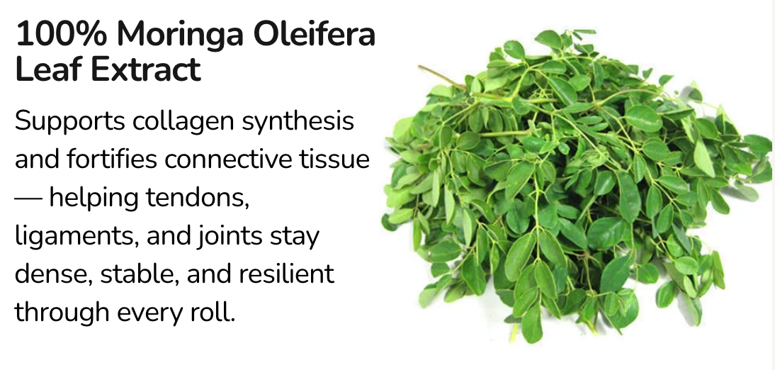 TAPLESS - 100% Moringa Oleifera Leaf Extract