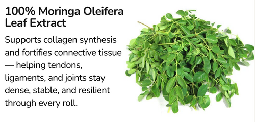TAPLESS - 100% Moringa Oleifera Leaf Extract