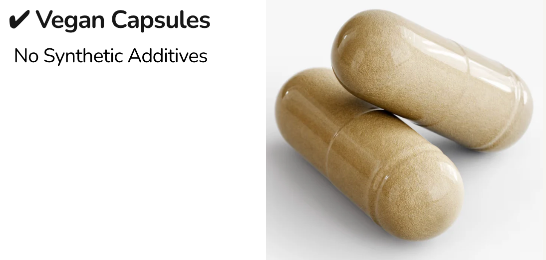 TAPLESS - 100% Moringa Oleifera Leaf Extract